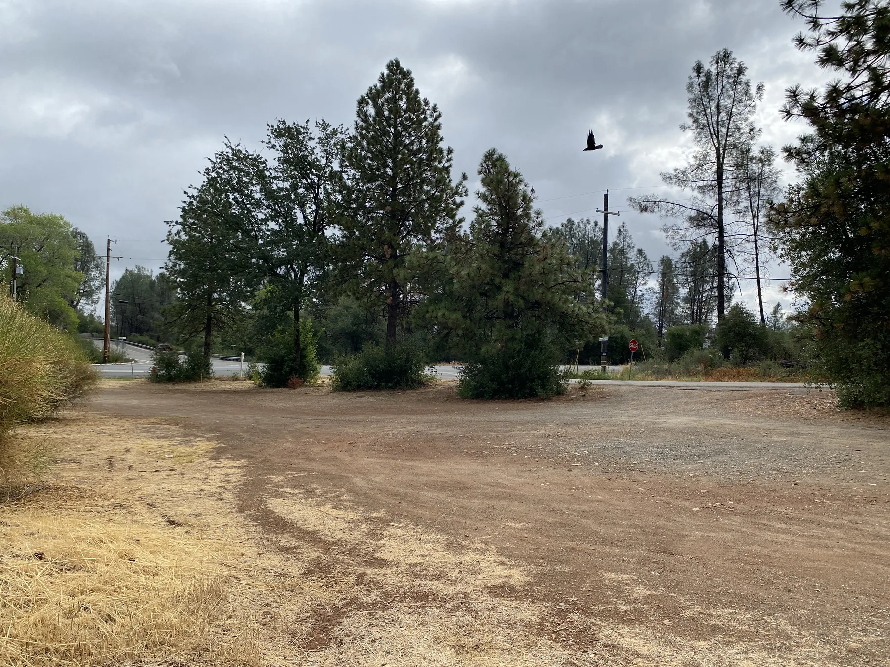 Commercial lot photograph 10