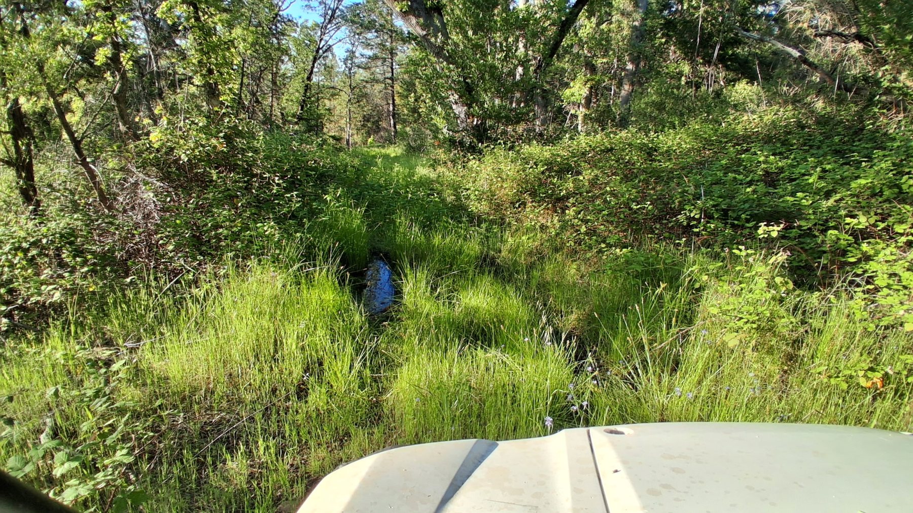 Northern California land view