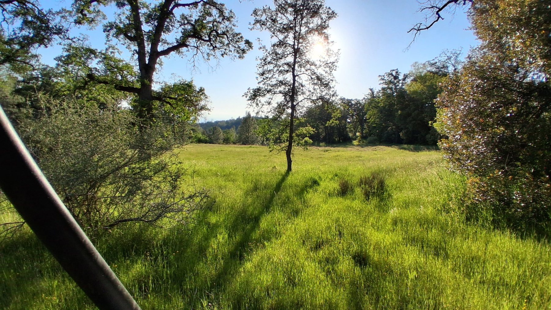 Shasta County property landscape