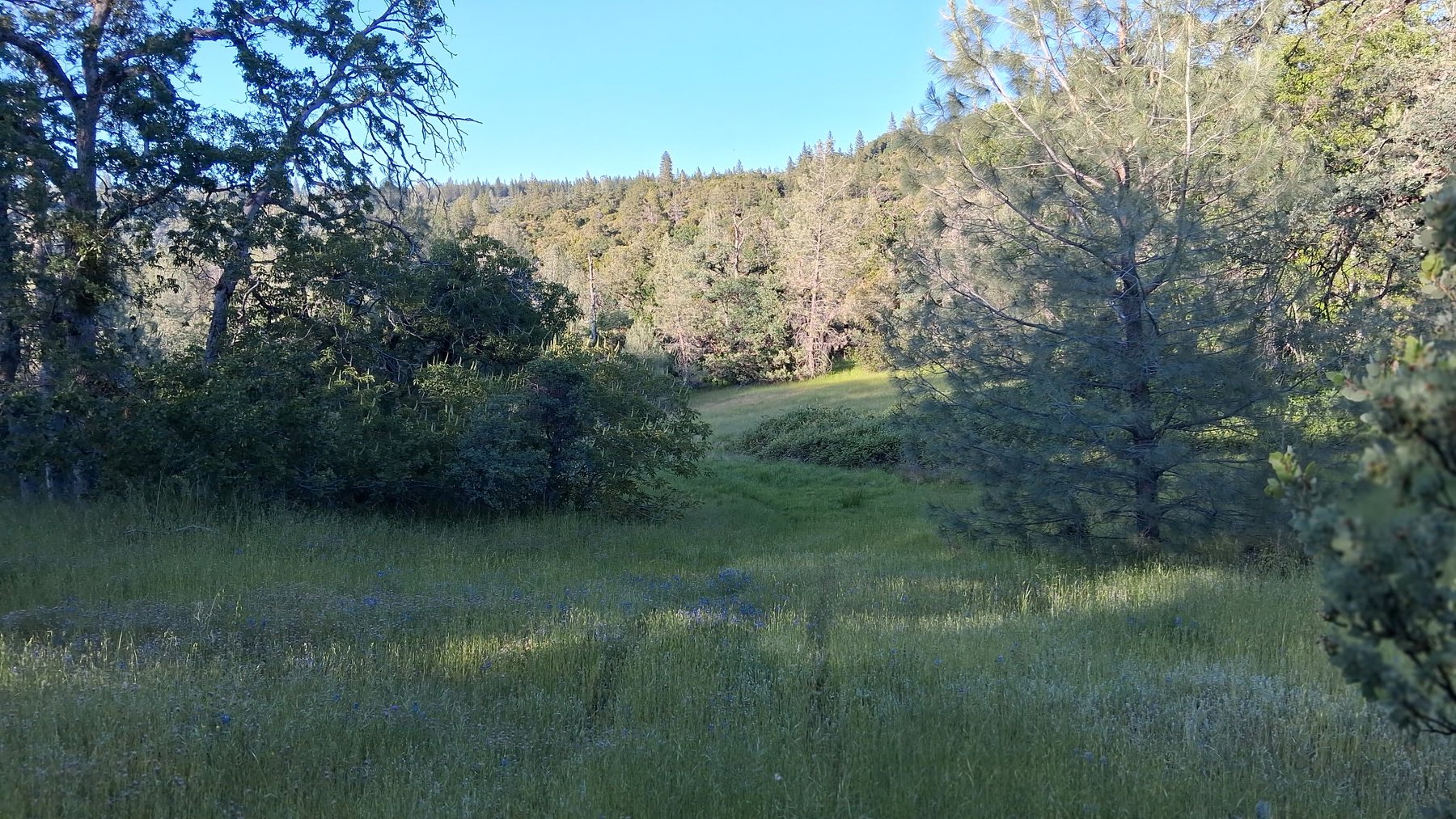 Property road and terrain