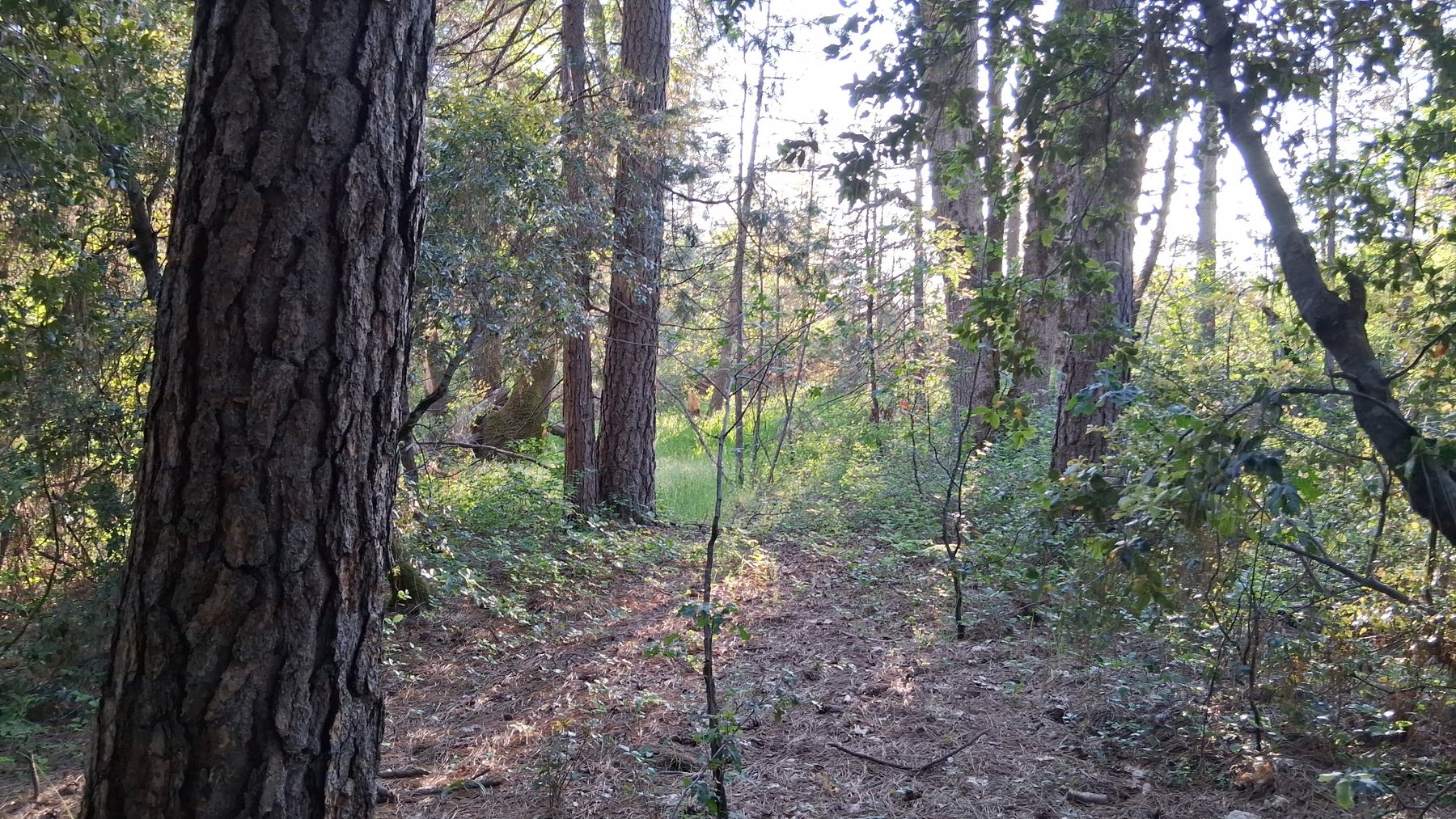 Property road and terrain