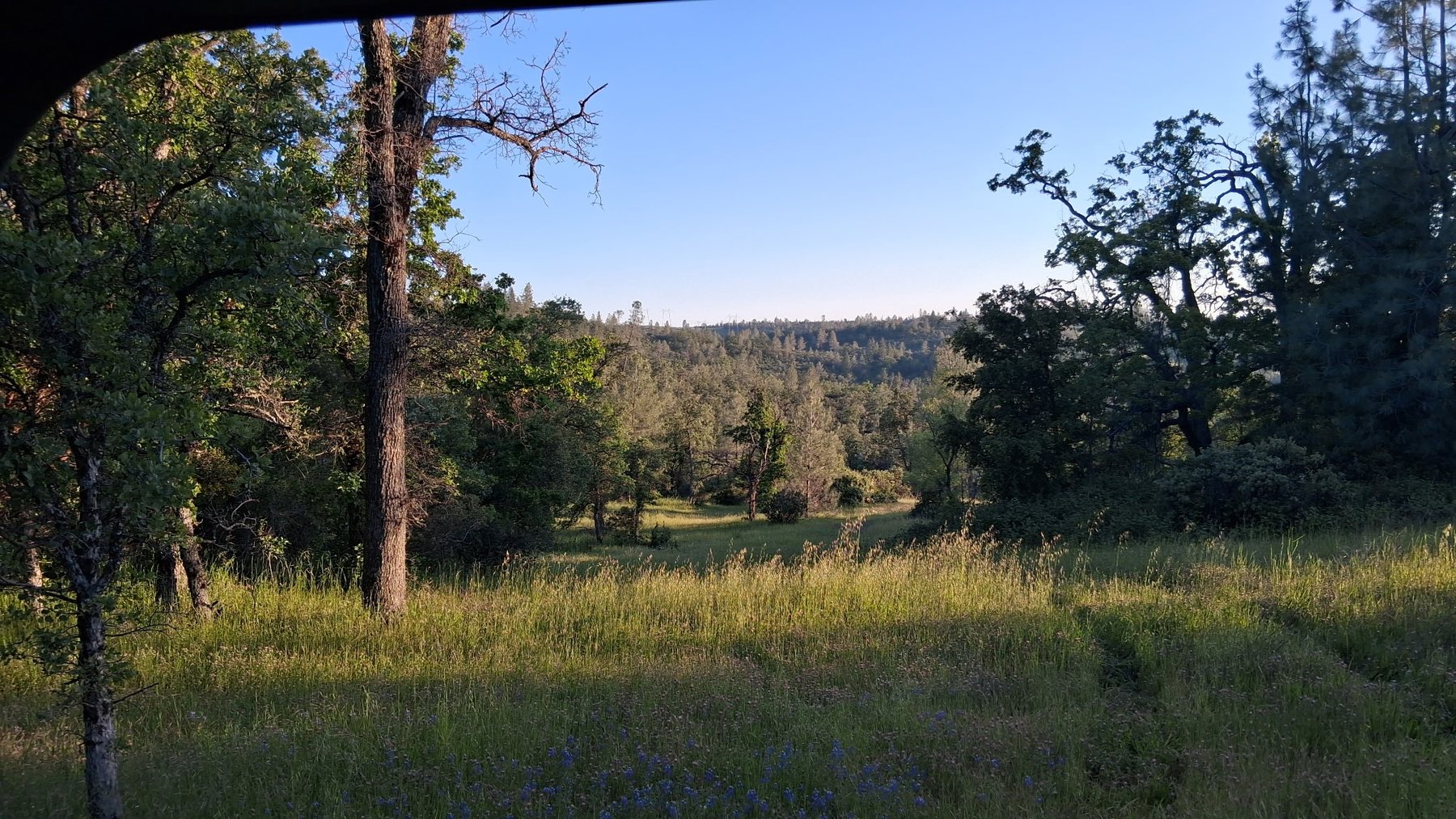 Property road and terrain
