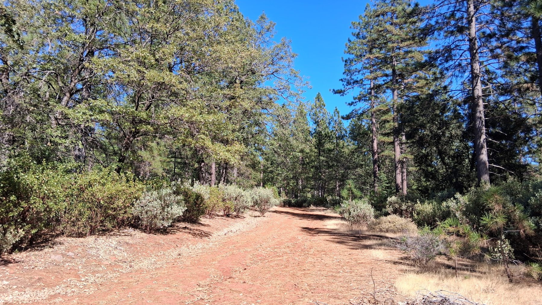 Open ground and timber