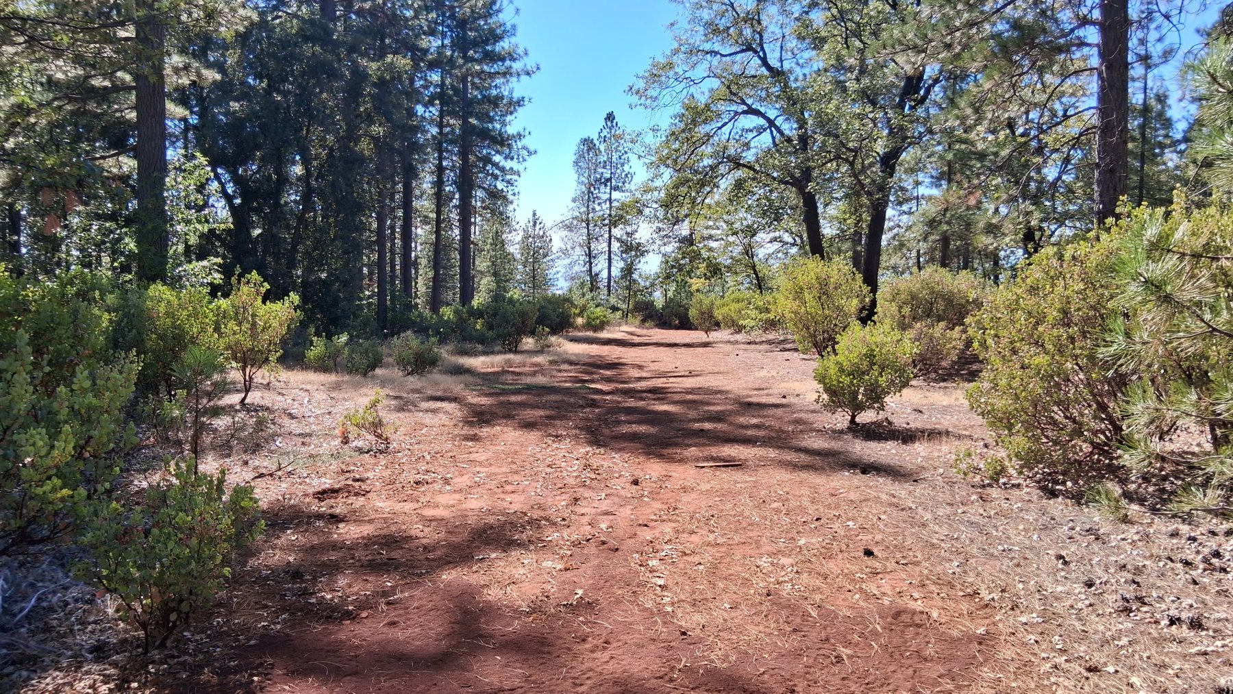 Northern California land view