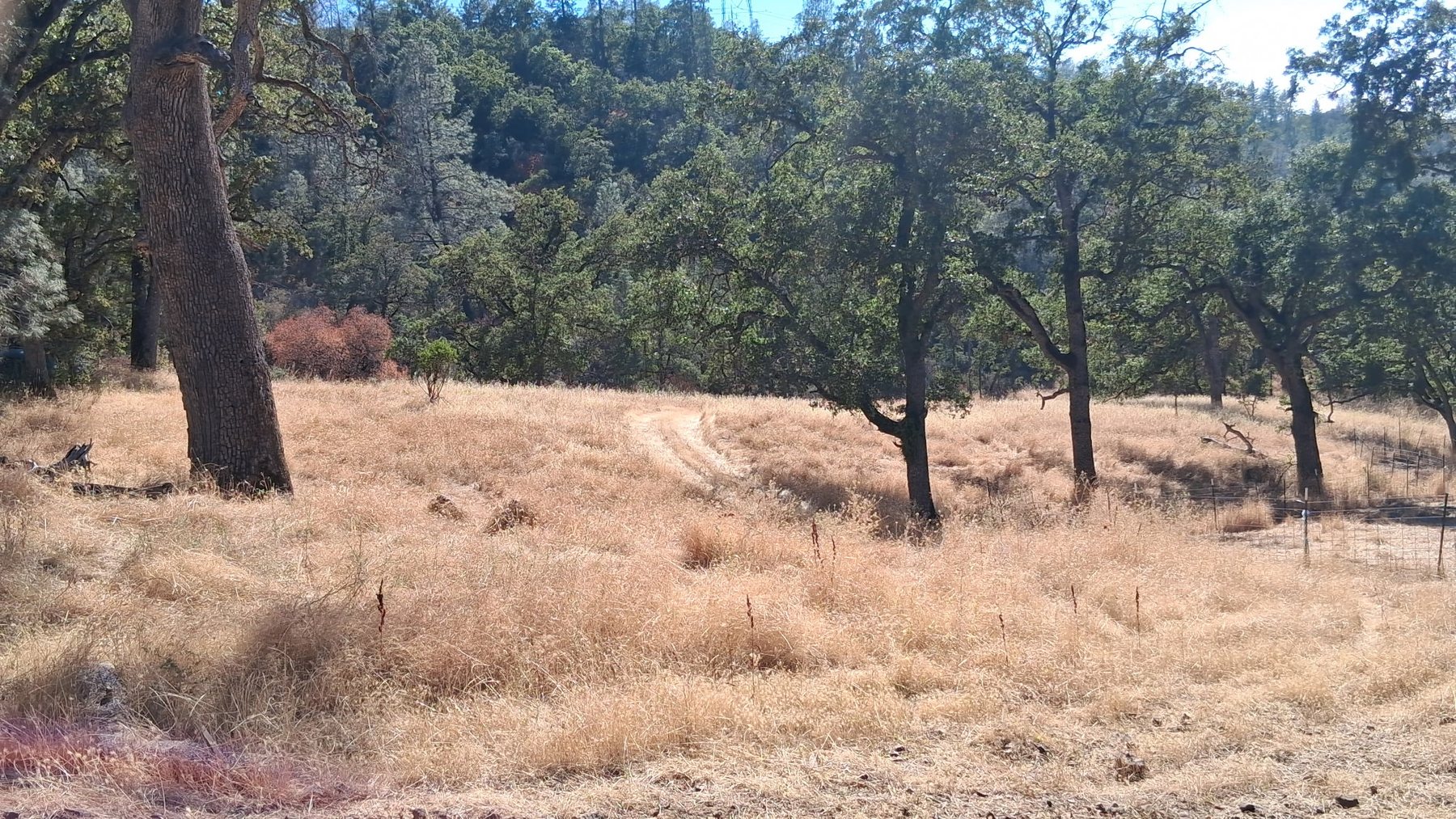 Northern California land view
