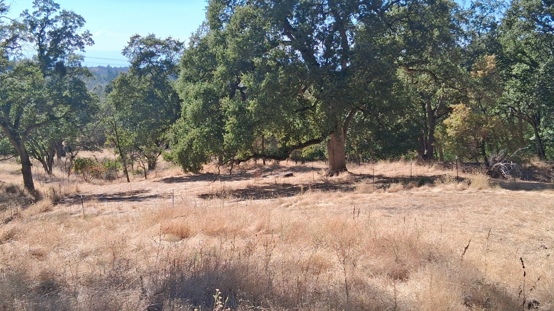 Shasta County property landscape