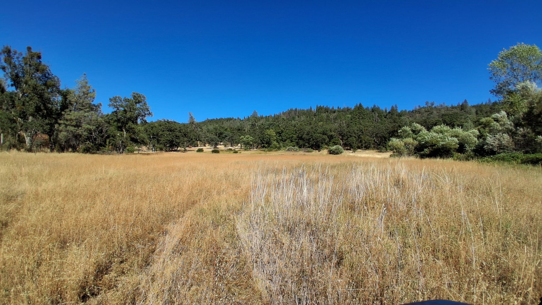 739 acres in Shasta County, California