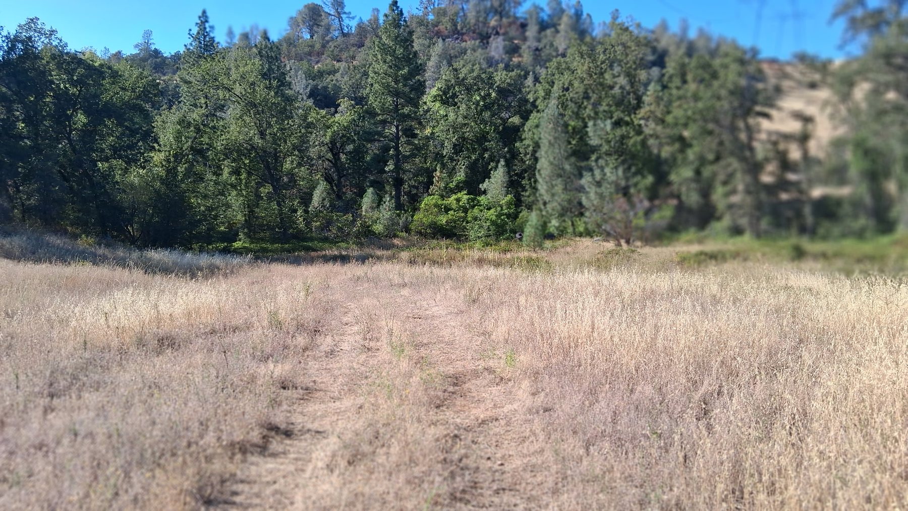 Property road and terrain