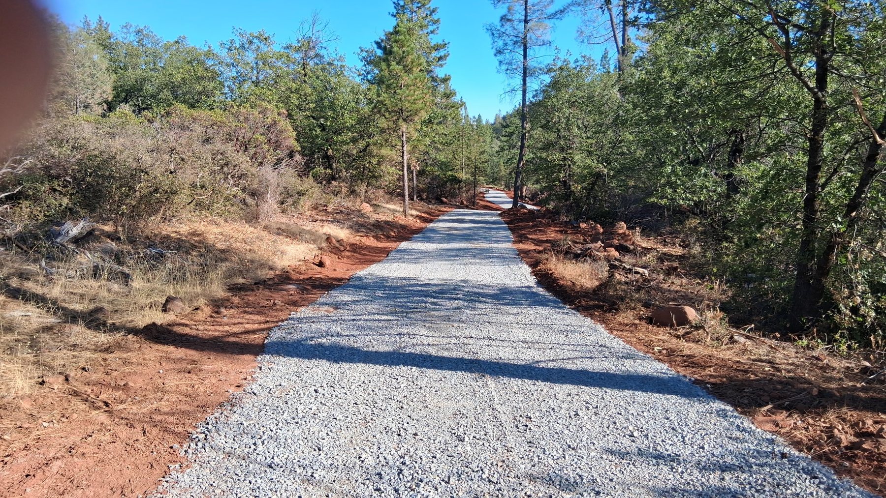 Wooded acreage