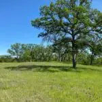 Owner financing land near Redding for sale – great for Bay Area and Sacramento buyers