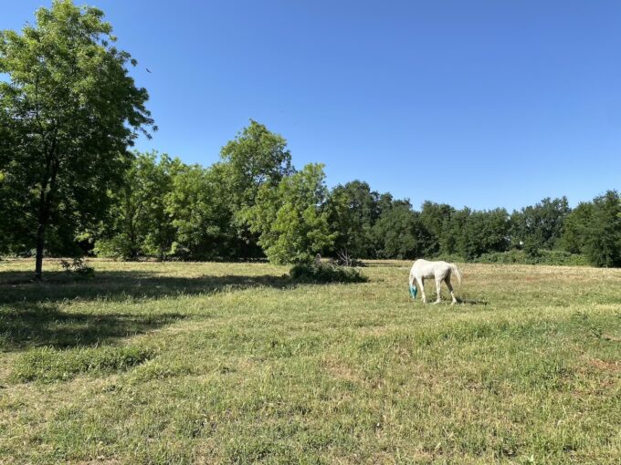 land for sale near Redding California 4.5 acres two parcels
